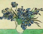 Vincent Van Gogh Vase with Irises oil painting